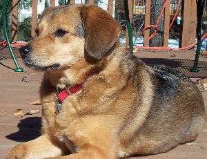 Chloe, taken February 18, 2001
