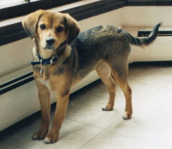 Chloe