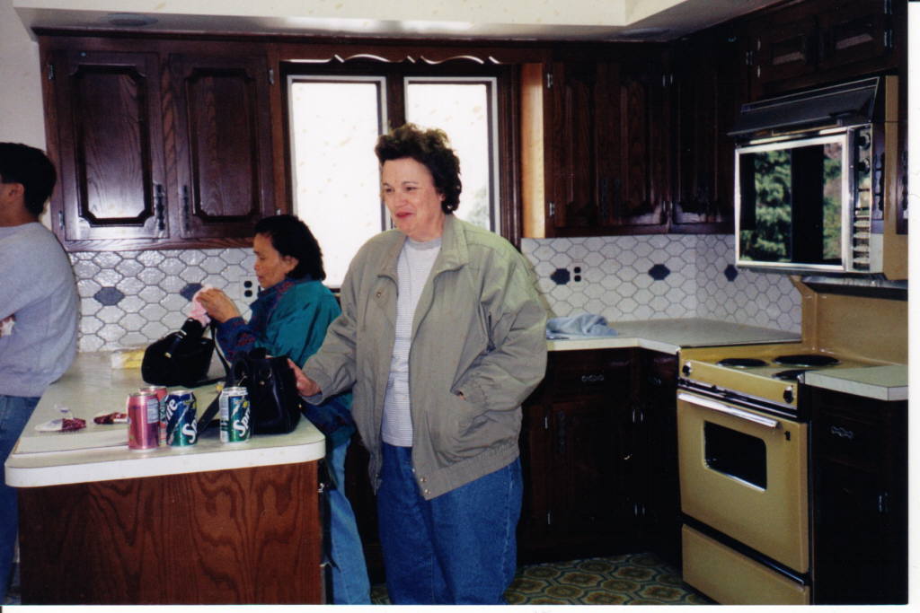  1996 Original House